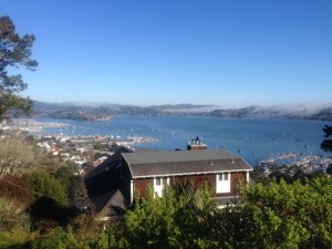 View from Sausalito and the house I'll buy with my Powerball winnings
